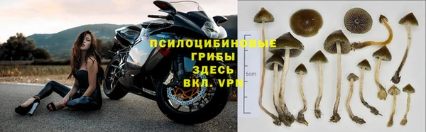 прущие крисы Балахна