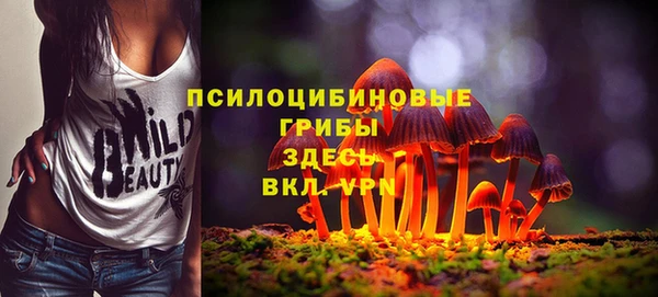 прущие крисы Балахна