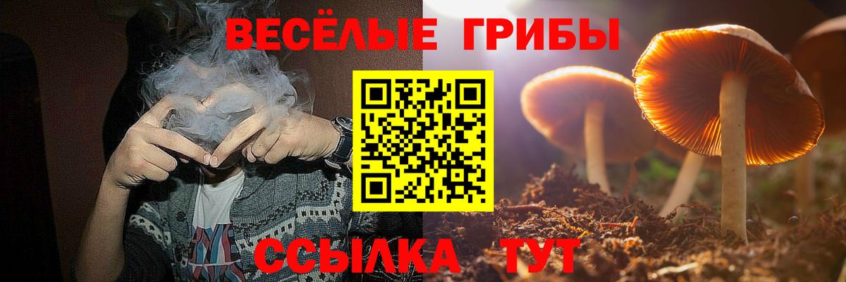 Псилоцибиновые грибы мухоморы Бор