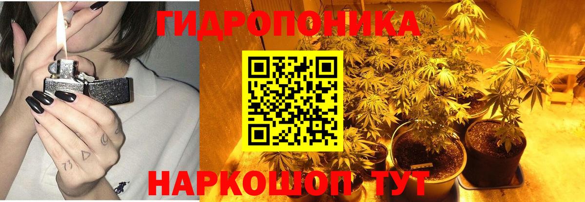 Бошки марихуана планчик  Шишки марихуана индика  Бор  Вход с VPN  Шишки марихуана VHQ  Марихуана сатива 
