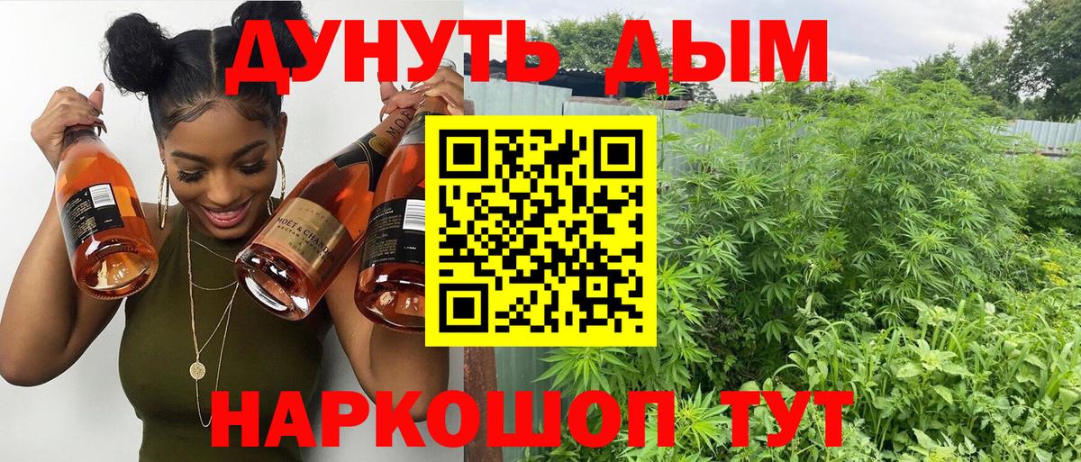 Каннабис индика Бор
